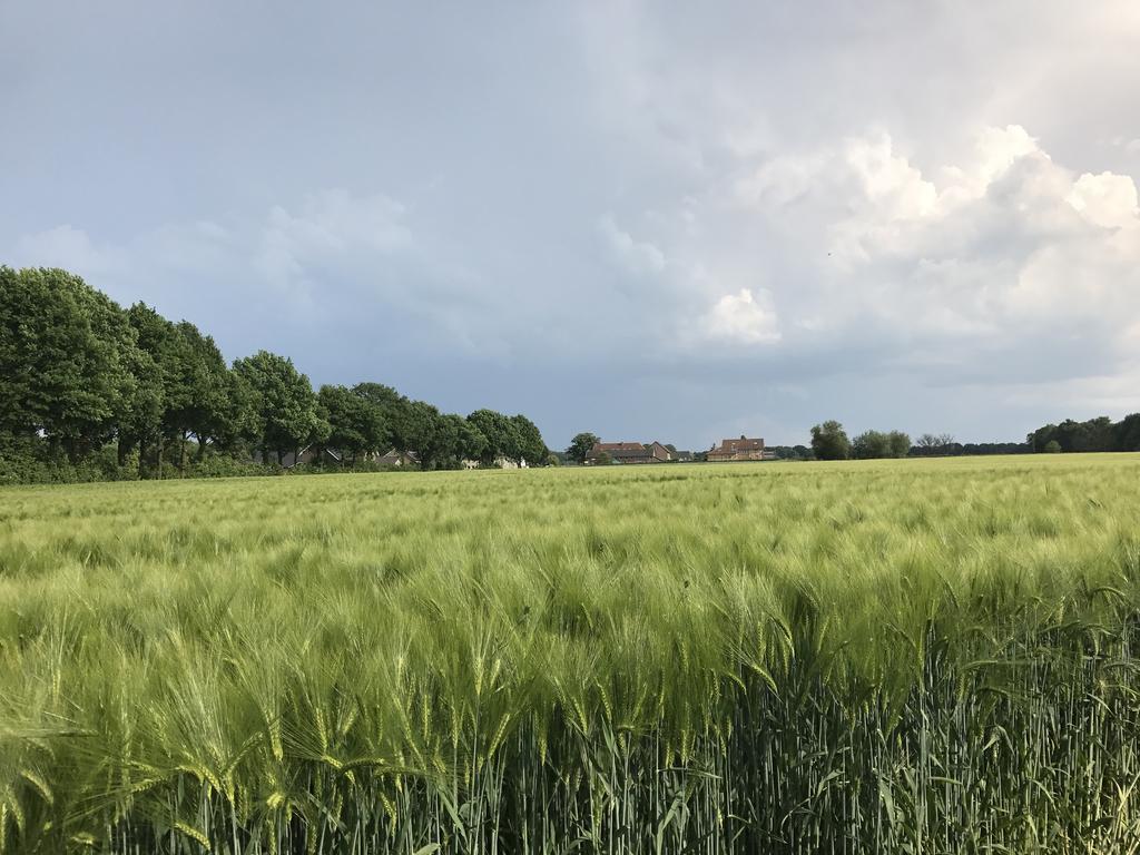 Appartementen De Zegelskoel Heijenrath Luaran gambar
